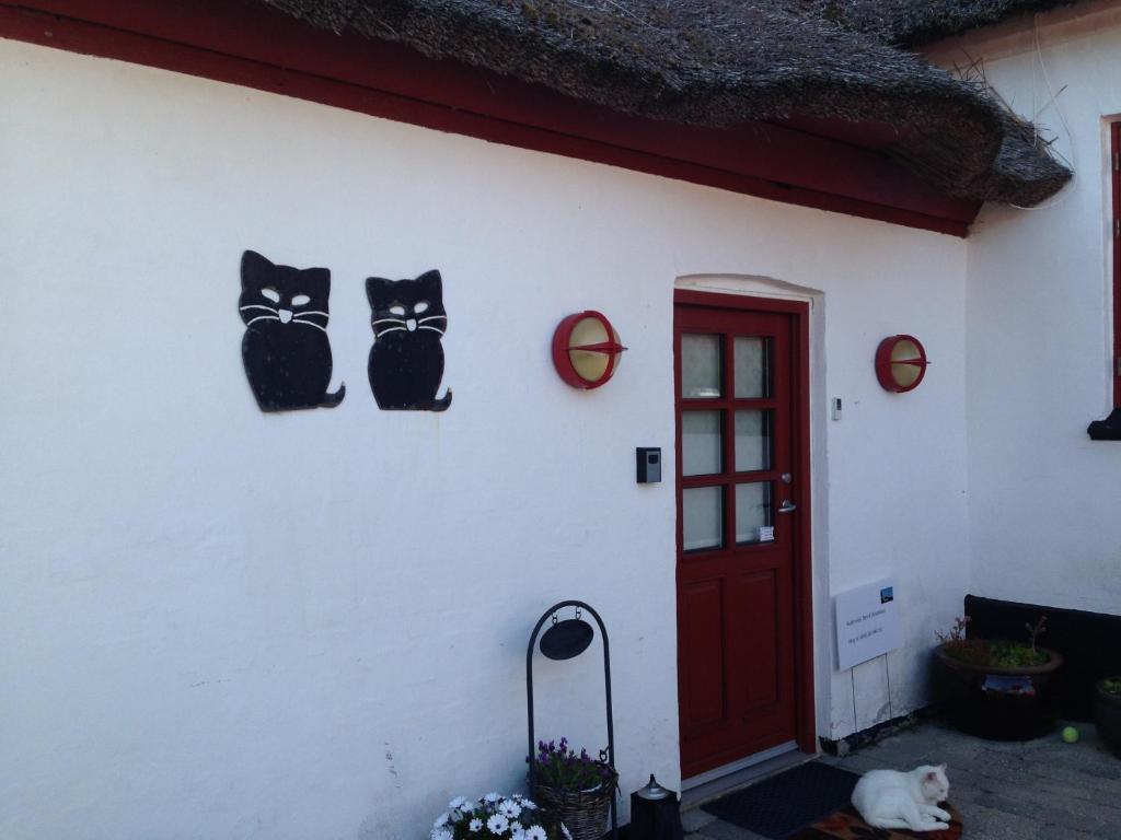 Bulbrovejs Bed & Breakfast Havdrup Exterior foto